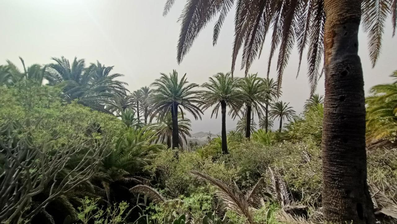 Alquilaencanarias Casa La Playa La Gomera Алохера Экстерьер фото